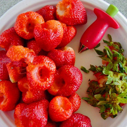 1Pcs Strawberry Huller Metal Tomato Stalks Plastic Fruit